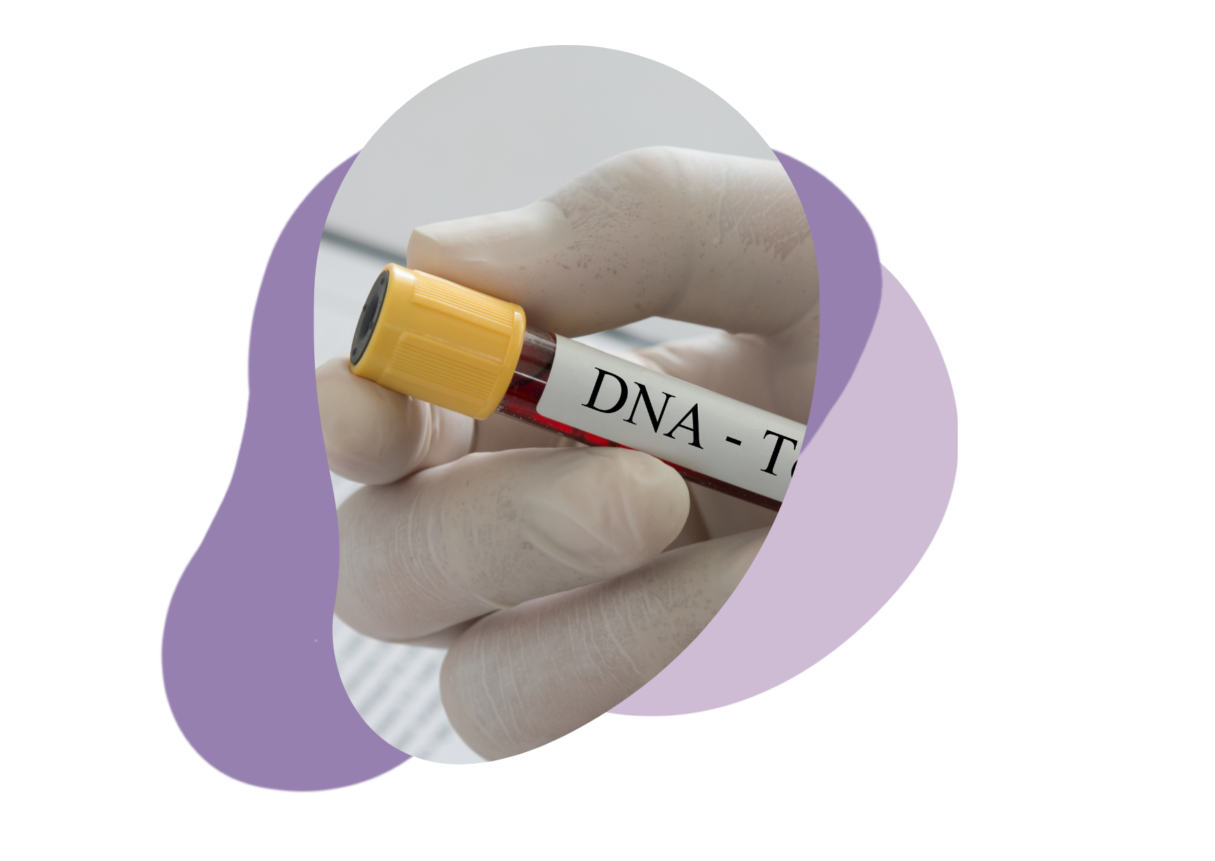 DNA test Veenendaal